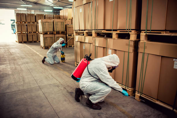 Best Bed Bug Extermination  in Upper Montclair, NJ
