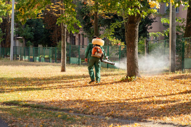 Wasp Removal Services in Upper Montclair, NJ